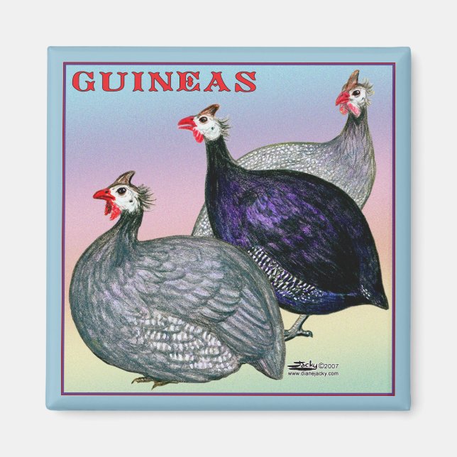 Guineas Three Fowl Magnet (Front)
