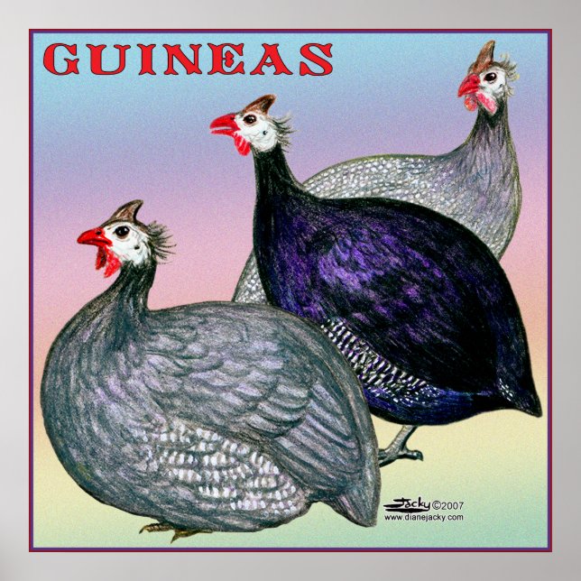 Guineas Three Fowl Poster (Front)