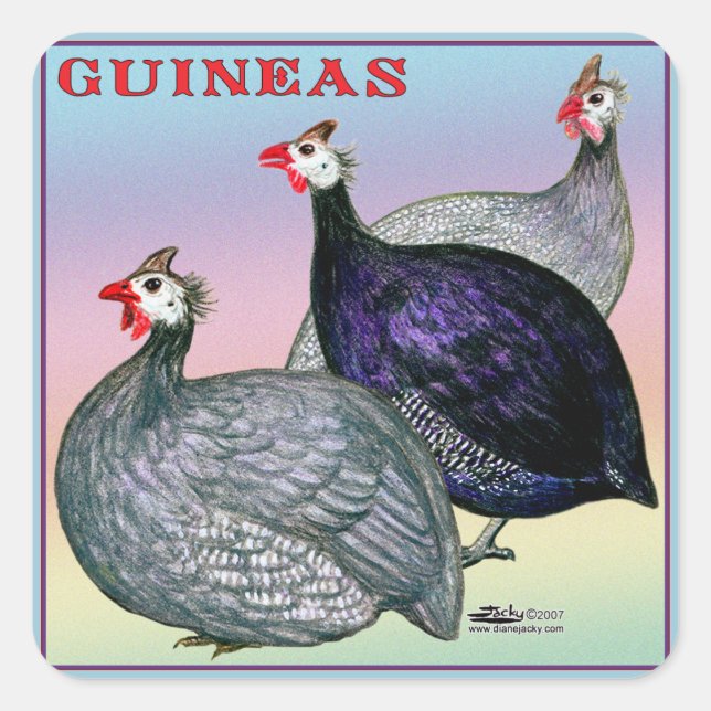 Guineas Three Fowl Square Sticker (Front)