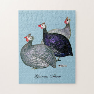 Guineas Three Jigsaw Puzzle