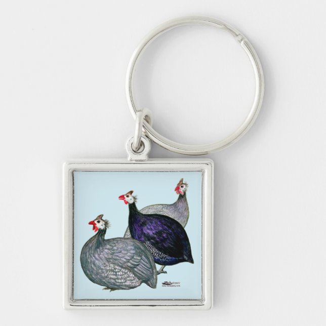 Guineas Three Key Ring (Front)