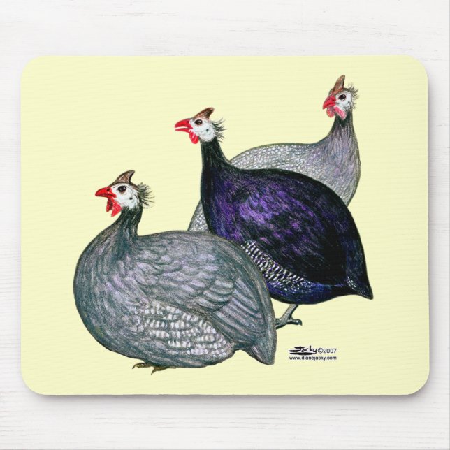 Guineas Three Mouse Pad (Front)