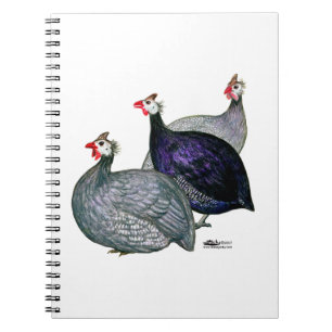 Guineas Three Notebook