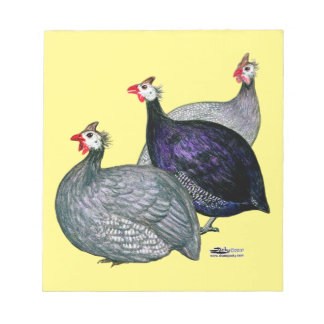 Guineas Three Notepad