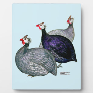 Guineas Three Plaque