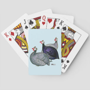 Guineas Three Playing Cards
