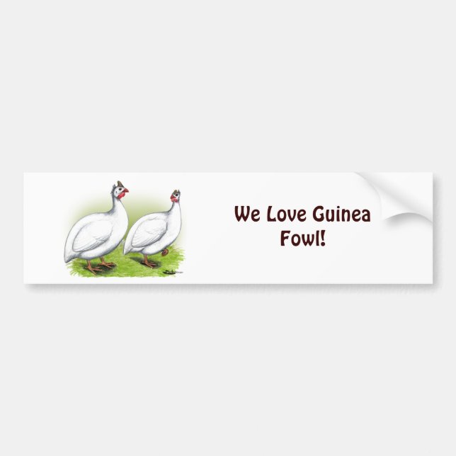 Guineas:  White Bumper Sticker (Front)