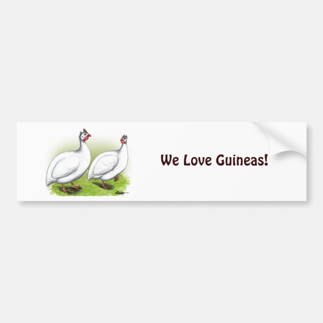 Guineas:  White Bumper Sticker (Front)