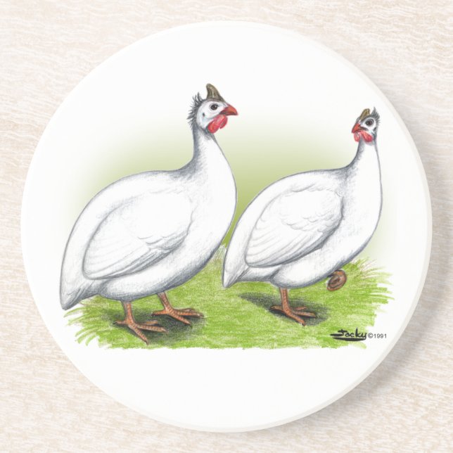Guineas:  White Coaster (Front)
