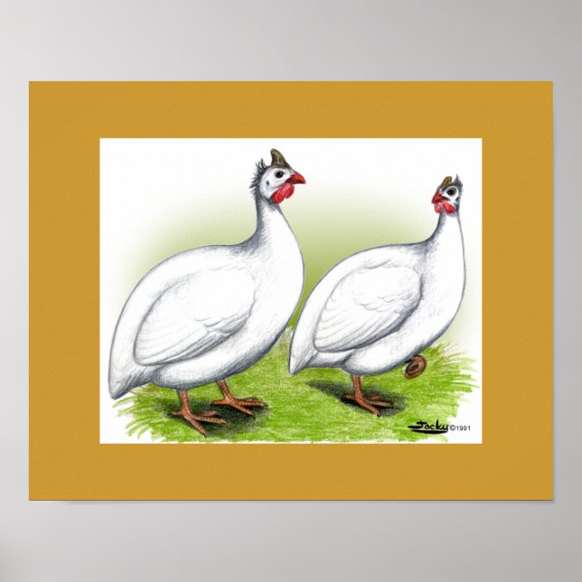 Guineas:  White Poster (Front)