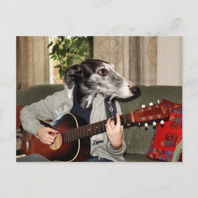 Guitar dog postcard (Front)