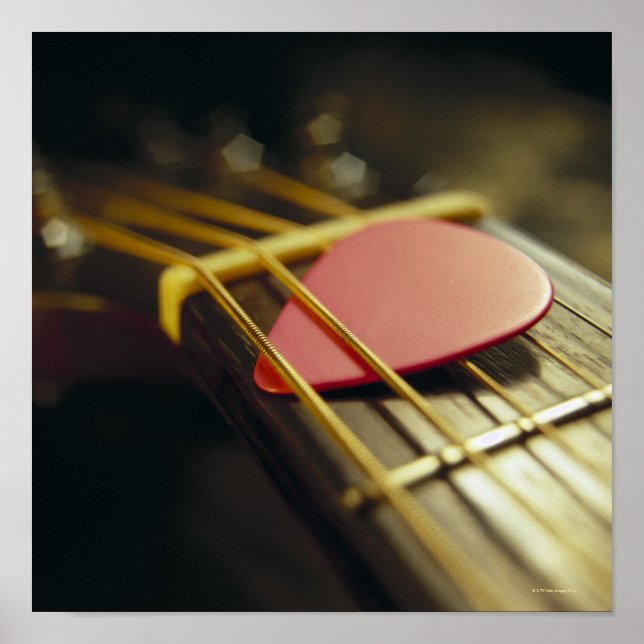 Guitar Pick Poster (Front)