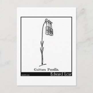 Guittara Pensilis. Postcard