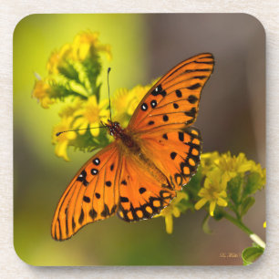 Gulf Fritillary aka Passion Butterfly on Goldenrod Coaster