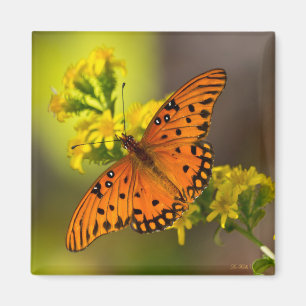Gulf Fritillary aka Passion Butterfly on Goldenrod Magnet
