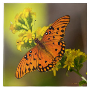 Gulf Fritillary aka Passion Butterfly on Goldenrod Tile