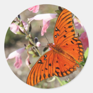 Gulf Fritillary Butterfly Stickers