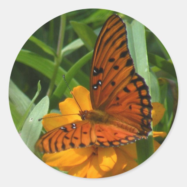 Gulf Fritillary Butterfly Stickers (Front)