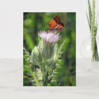 Gulf Fritillary on Thistle Flower Birthday Card