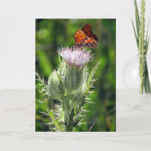 Gulf Fritillary on Thistle Flower Birthday Card