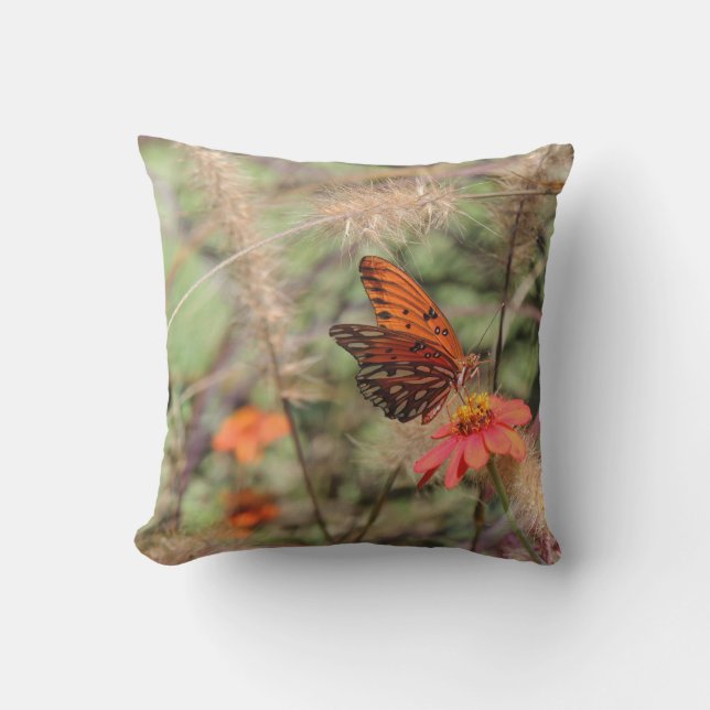 Gulf Fritillary on Zinnia Cushion (Front)