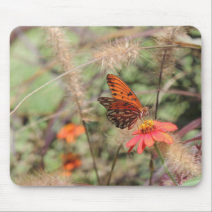 Gulf Fritillary on Zinnia Mouse Pad