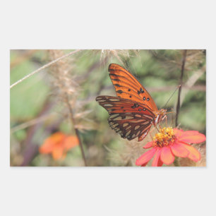 Gulf Fritillary on Zinnia Rectangular Sticker