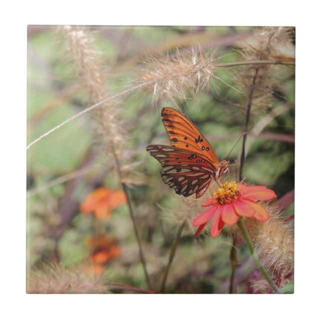 Gulf Fritillary on Zinnia Tile (Front)