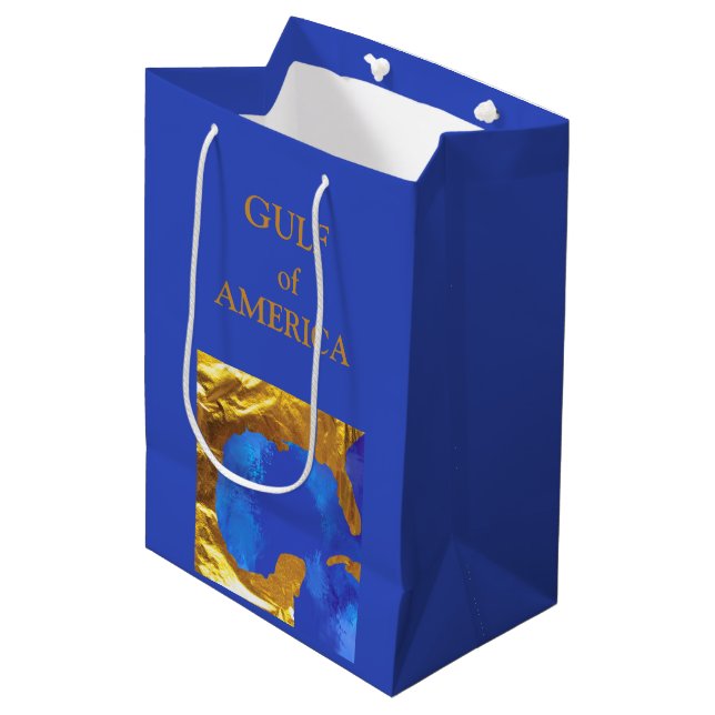 GULF OF AMERICA  MEDIUM GIFT BAG (Front Angled)