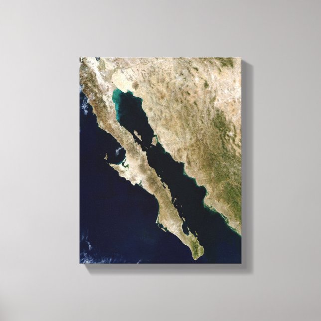 Gulf of California Canvas Print (Front)