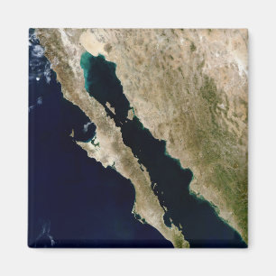 Gulf of California Magnet