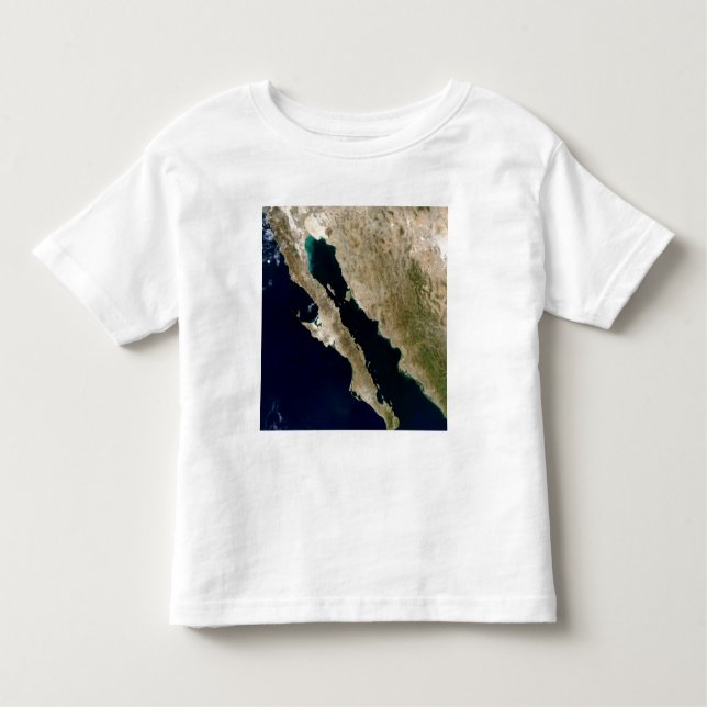 Gulf of California Toddler T-Shirt (Front)