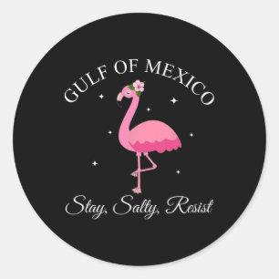 Gulf Of Mexico Stay Sally Resist Classic Round Sticker