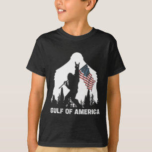 Gulf Of Usa America 2025 Funny Vintage Usa Flag T-Shirt
