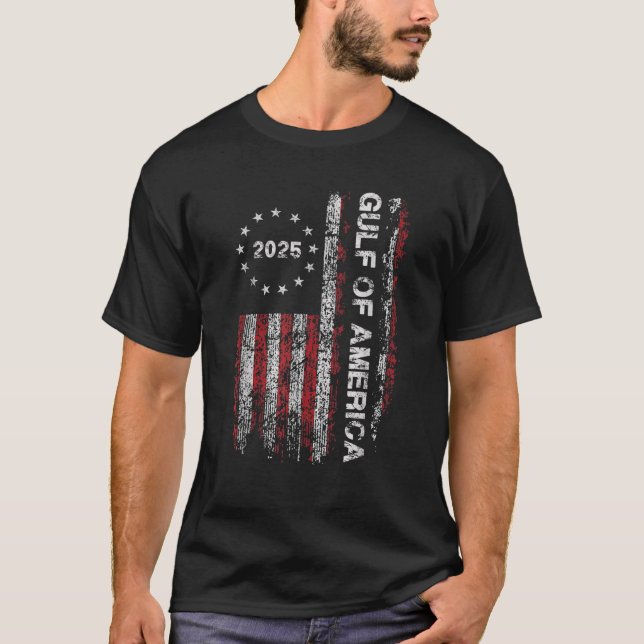 Gulf of USA America Est 2025 Funny American Flag V T-Shirt (Front)