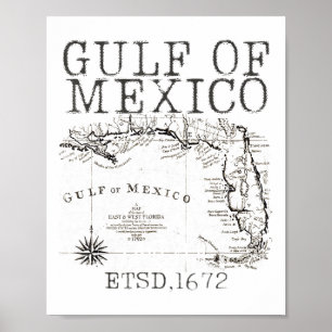 Gulf Of Usa America Funny Gulf Of Mexico Flag Map  Poster