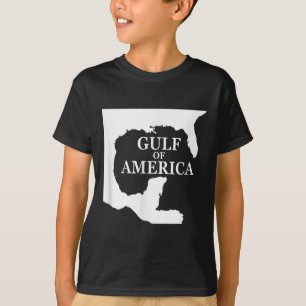 Gulf Of Usa America Shirt Funny Usa Flag