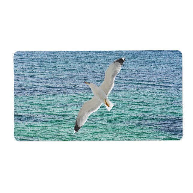 Gull flying above a sea (Front)