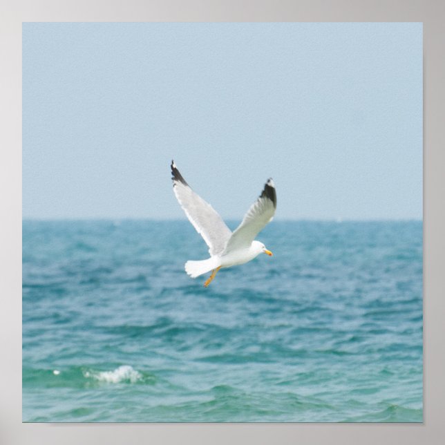 Gull flying above sea poster (Front)