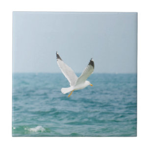 Gull flying above sea tile