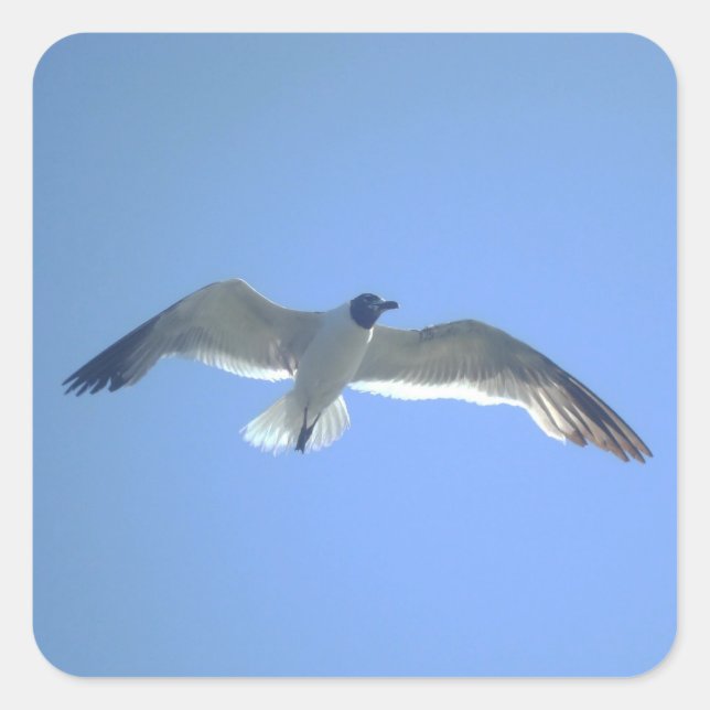 Gull in Flight Square Sticker (Front)