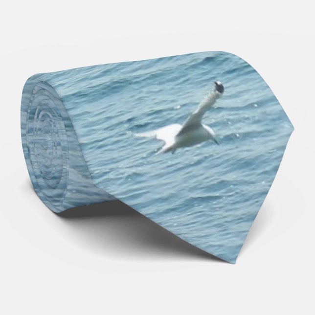 GULL IN FLIGHT  TIE (Rolled)