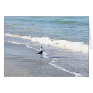 Gull in the Surf
