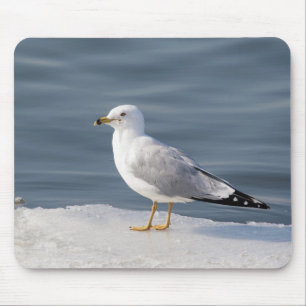 Gull on ice mouse pad