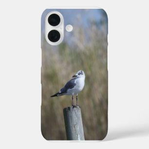 Gull on Post iPhone 16 Case