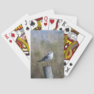 Gull on Post Playing Cards