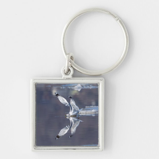 Gull Reflections Key Ring (Front)