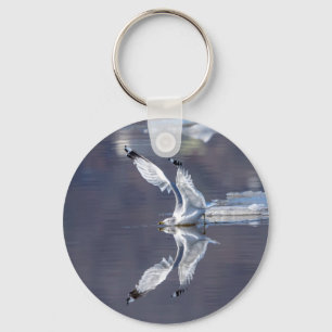 Gull Reflections Key Ring