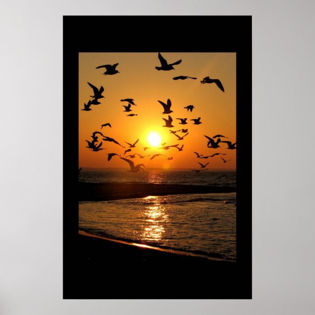Gull sunset print (Front)