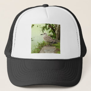 Gull Trucker Hat